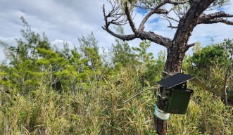 沖縄本島全域で動物の鳴き声などを録音している音感知センサー